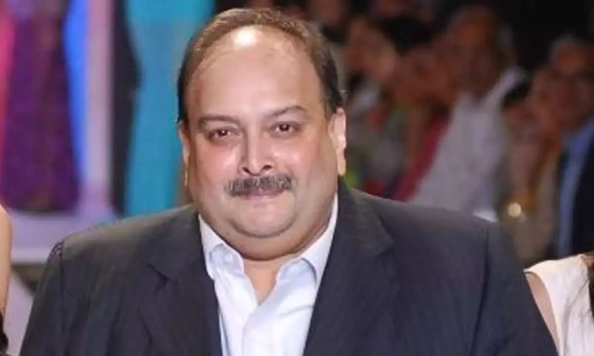 Sebi Attaches Bank, Demat, MF Accounts Of Mehul Choksi