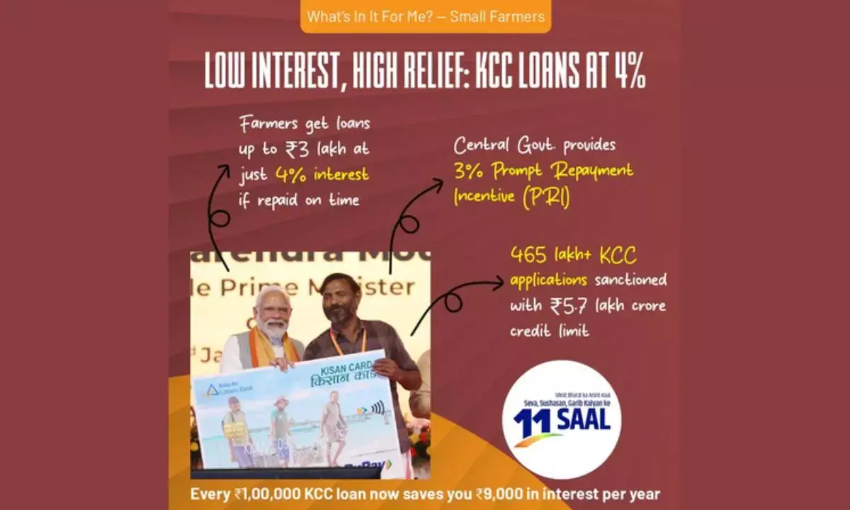 Kisan Credit Card scheme a lifeline for millions of Indian farmers: FM Sitharaman