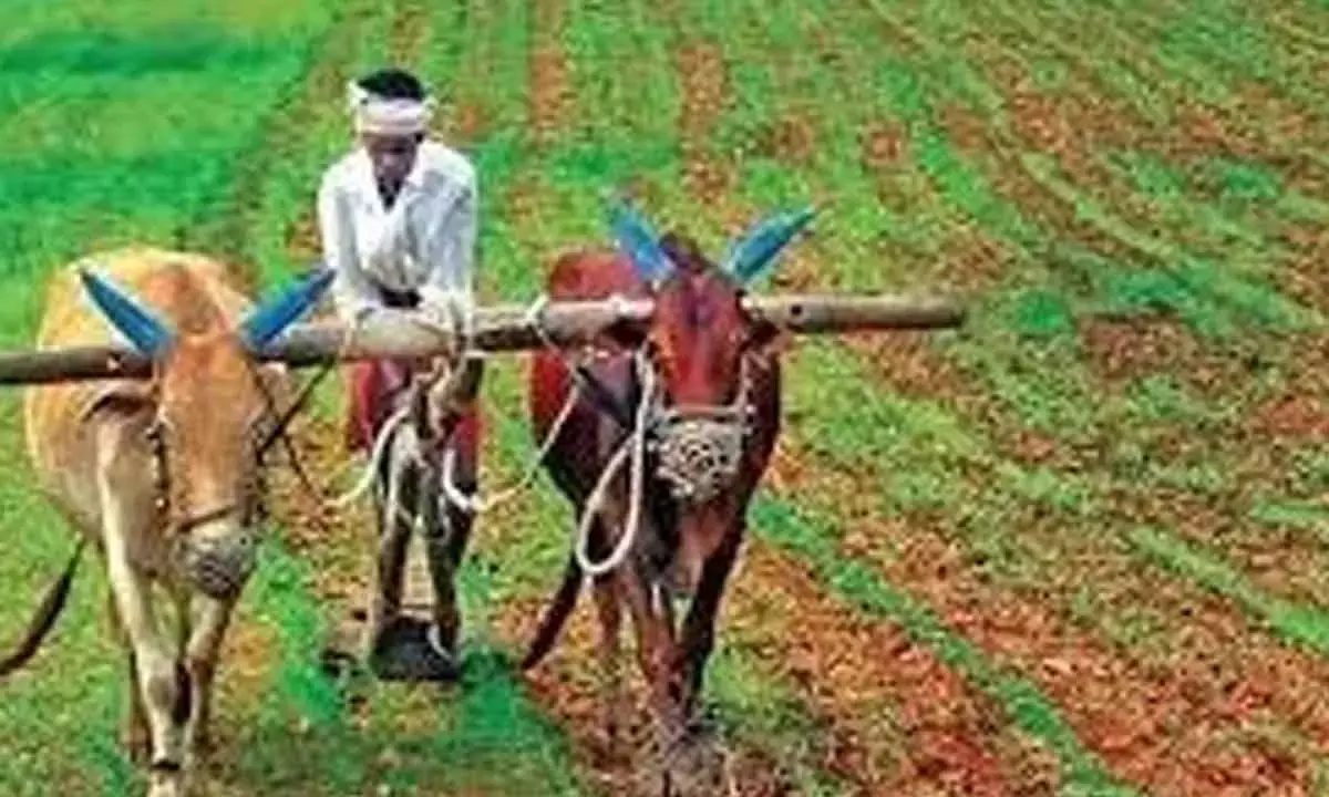 India To Protect Its Farmers’ Interests