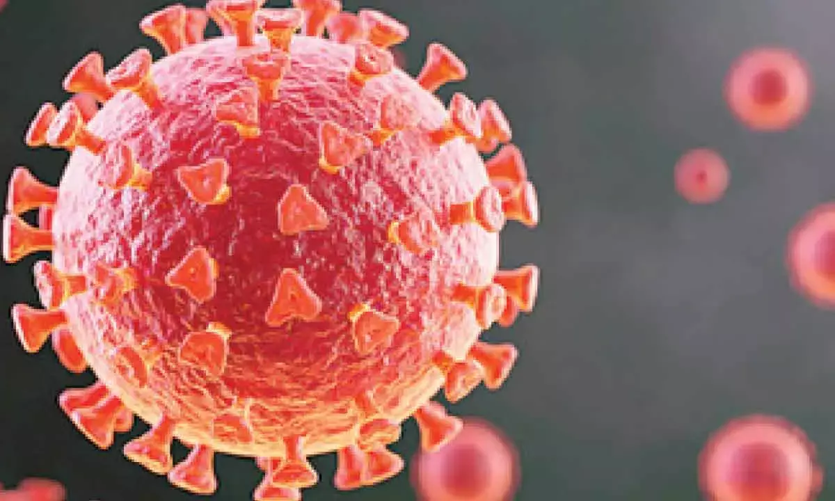 Study Shows How Covid Virus Shields Itself In Replication