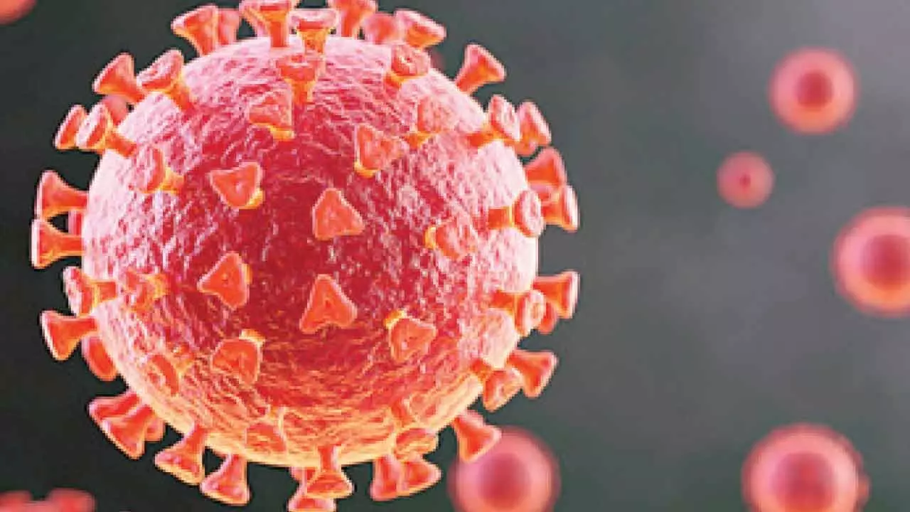 Study Shows How Covid Virus Shields Itself In Replication Study Shows How Covid Virus Shields Itself In Replication
