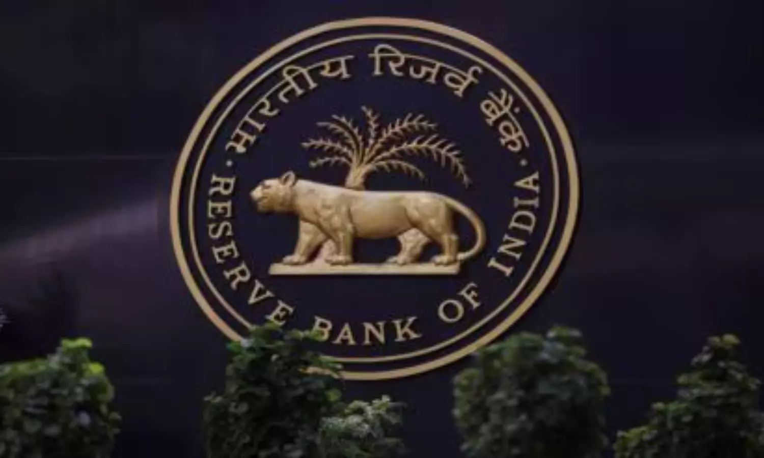50bps rate cut & 100 bps CRR cut is positive for bank stocks 50bps rate cut & 100 bps CRR cut is positive for bank stocks