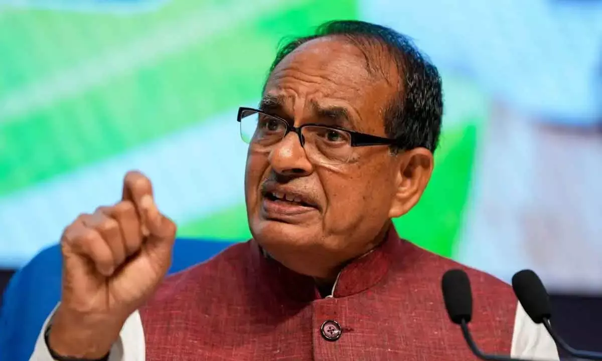 Govt Eyes Bumper Foodgrain Output