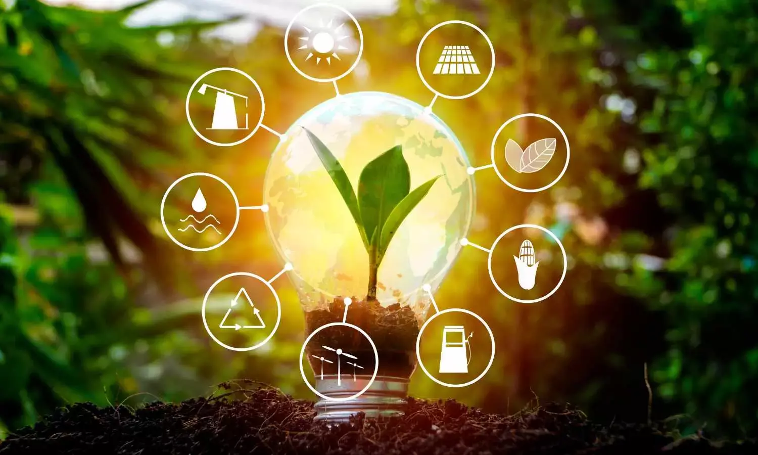 The road to prosperity