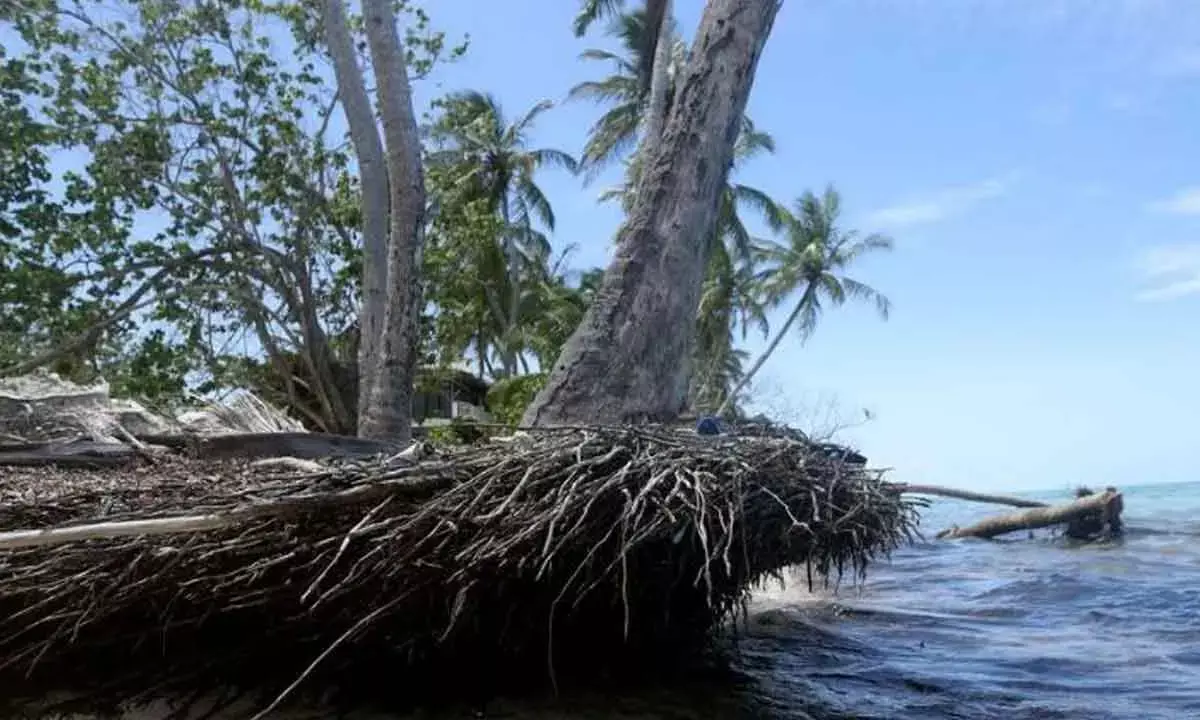 Climate Threatens Ocean Economy’s Future Despite Booming Trade