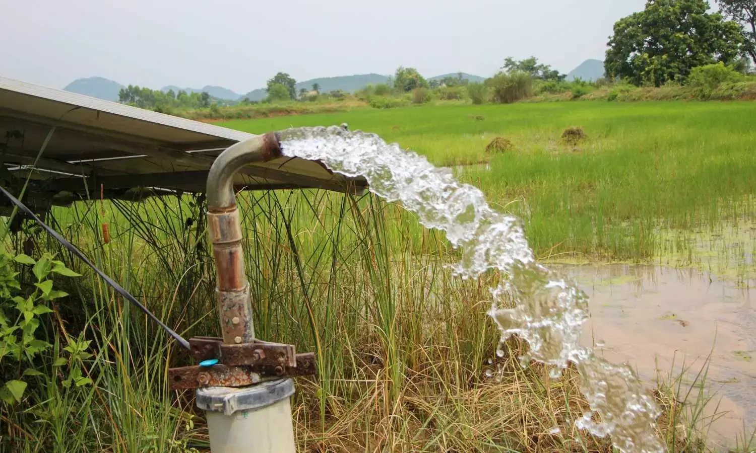 Naidu Calls for Advance Irrigation to Avert Cyclone Risks Strategy in Place to Cultivate Three Crops a Year