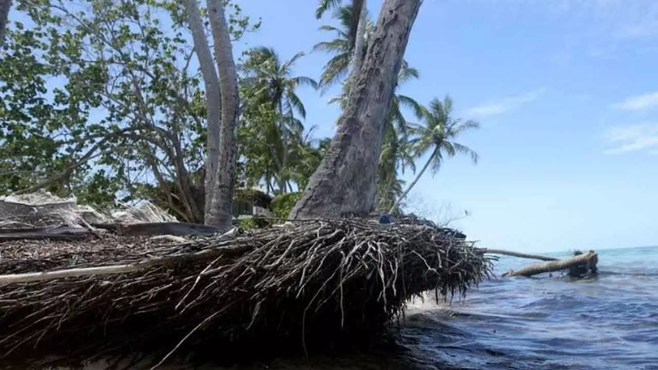 Climate Threatens Ocean Economy’s Future Despite Booming Trade Climate Threatens Ocean Economy’s Future Despite Booming Trade
