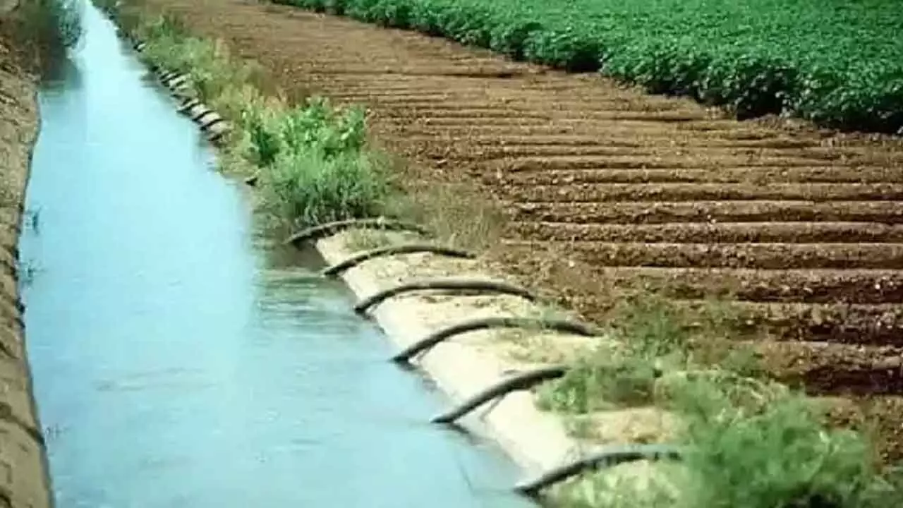 Naidu For Advancing Crop Season To Avert Risks Naidu For Advancing Crop Season To Avert Risks