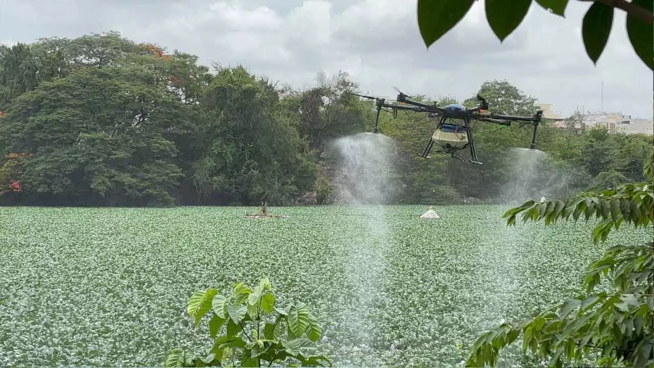 AVPL Drones Keep Lakes Pest-Free AVPL Drones Keep Lakes Pest-Free