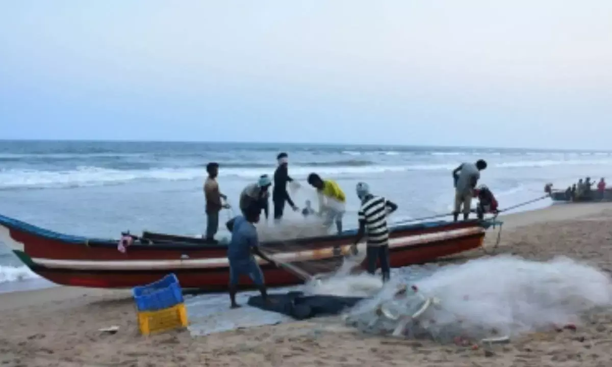 As Tuna, shrimp rates fall, TN fishers demand price-setting committee