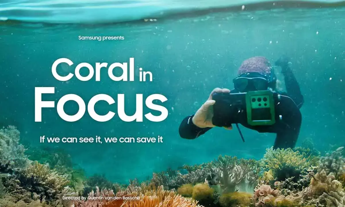 Breathing New Life into Our Oceans: Coral in Focus Illuminates Hope for Reefs