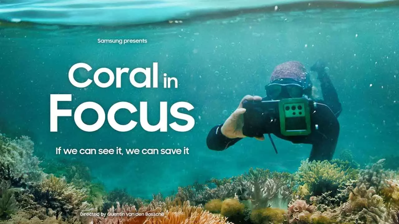 Breathing New Life into Our Oceans: Coral in Focus Illuminates Hope for Reefs Breathing New Life into Our Oceans: Coral in Focus Illuminates Hope for Reefs
