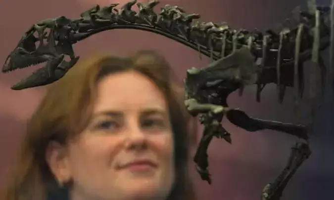 New Dog-Sized Dinosaur Species Discovered: Enigmacursor Unveiled