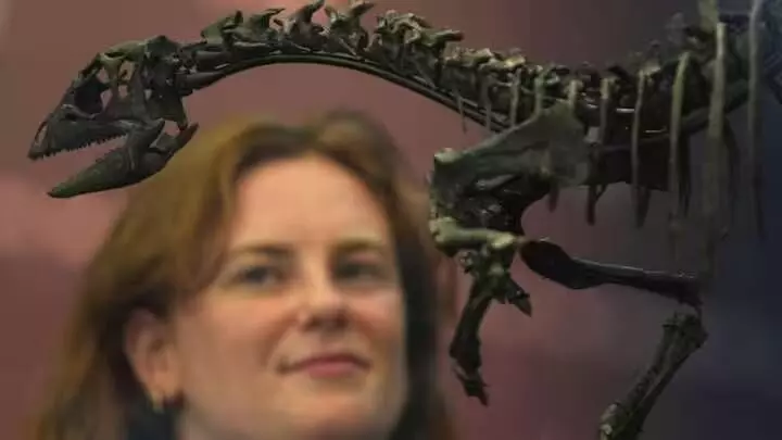 New Dog-Sized Dinosaur Species Discovered: Enigmacursor Unveiled New Dog-Sized Dinosaur Species Discovered: Enigmacursor Unveiled