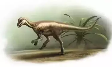 Dog-Sized Dinosaur Fossil Discovered, Revealing New Insights into Prehistoric Life