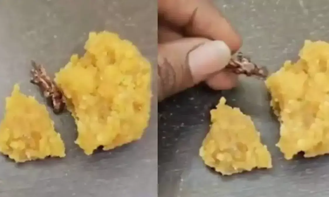 Devotee Alleges Cockroach Found in Srisailam Temple Laddoo; Authorities Deny Claim