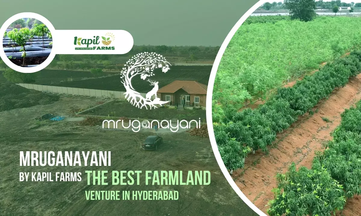 Why Agricultural Land Could Be Your Smartest Investment in India- The Untapped Goldmine of Indian Real Estate