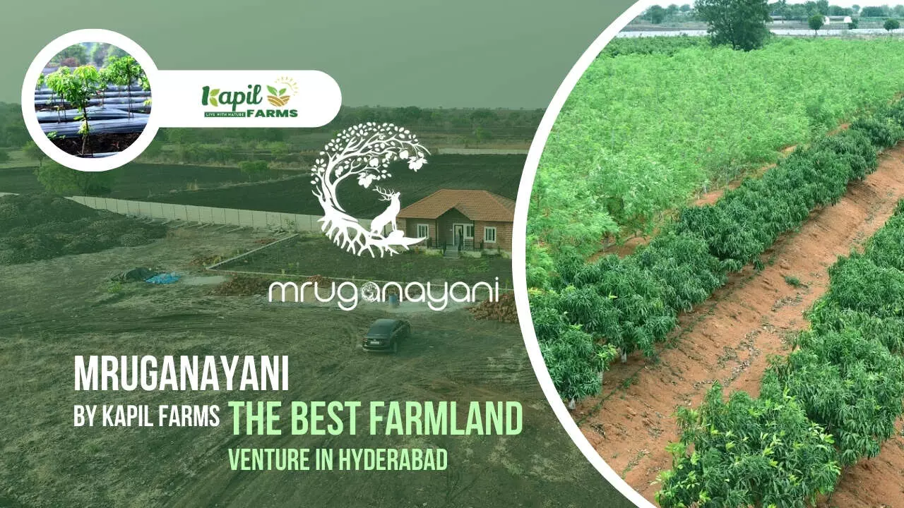 Why Agricultural Land Could Be Your Smartest Investment in India- The Untapped Goldmine of Indian Real Estate Why Agricultural Land Could Be Your Smartest Investment in India- The Untapped Goldmine of Indian Real Estate