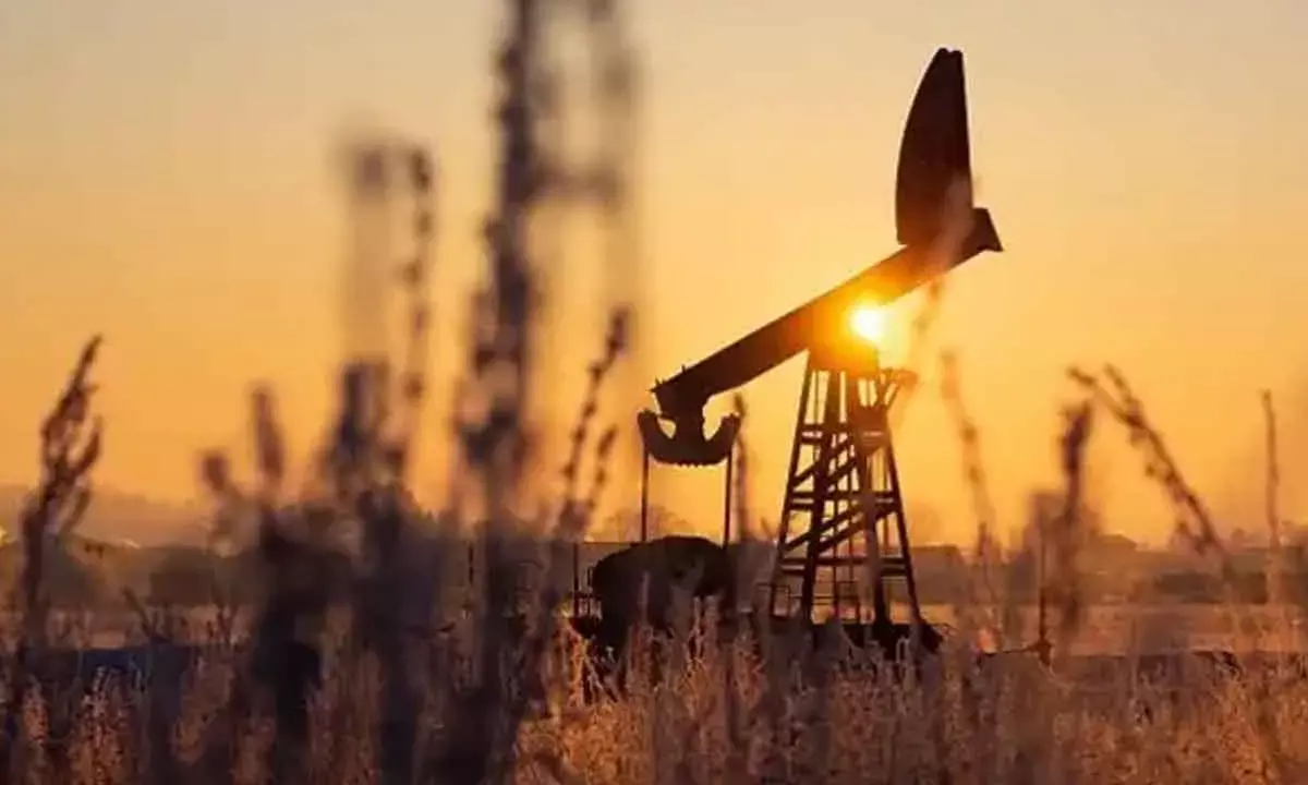 Oil Markets Hold Steady Amidst Robust U.S. Job Growth and Looming Tariff Decisions