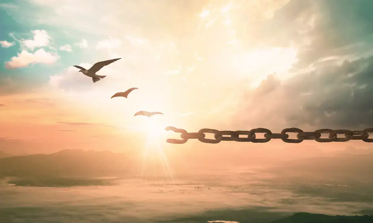 Breaking Free from Addiction: Understanding Drug Rehab