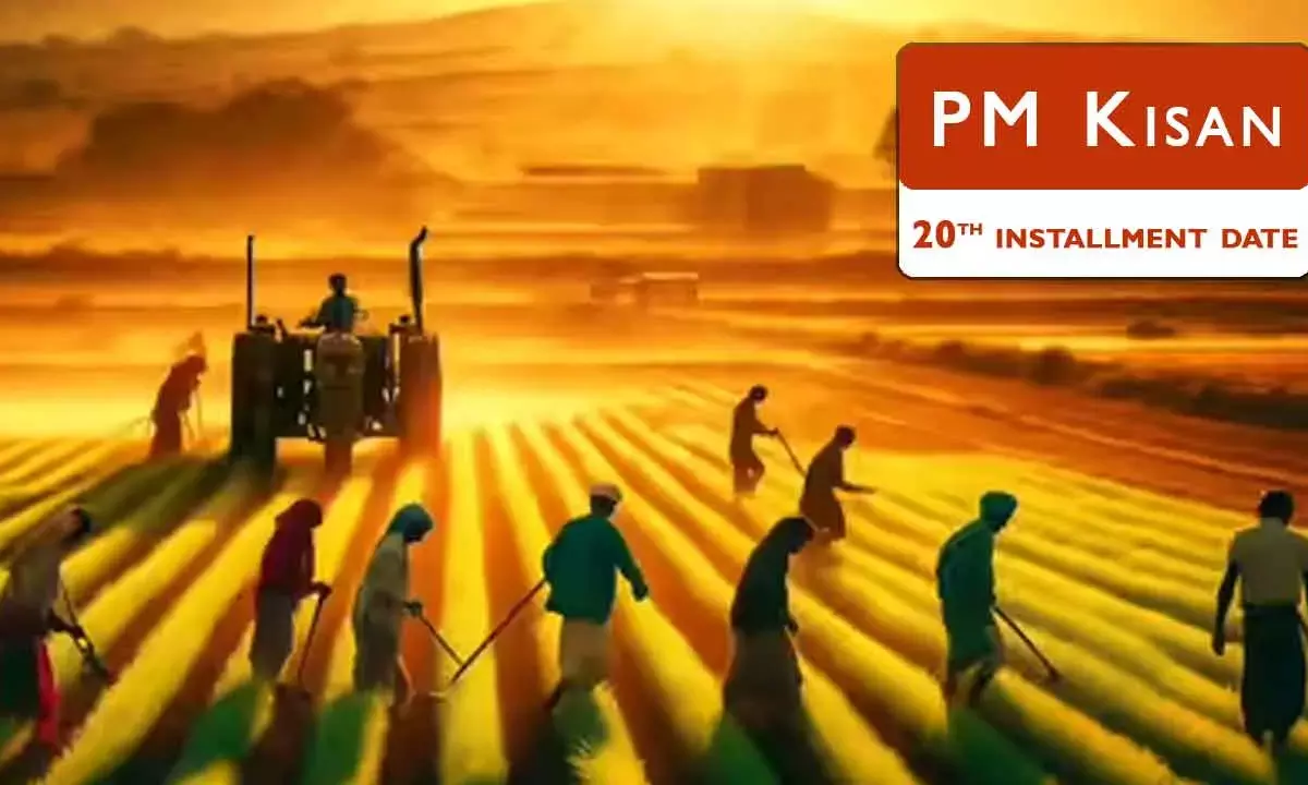 Decoding the PM Kisan 20th Installment: Your Essential Guide to Payments and Problem-Solving