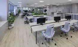 Work Culture Controversy: Bengaluru Startup Founder Sparks Debate Over 12-Hour Shifts Work Culture Controversy: Bengaluru Startup Founder Sparks Debate Over 12-Hour Shifts