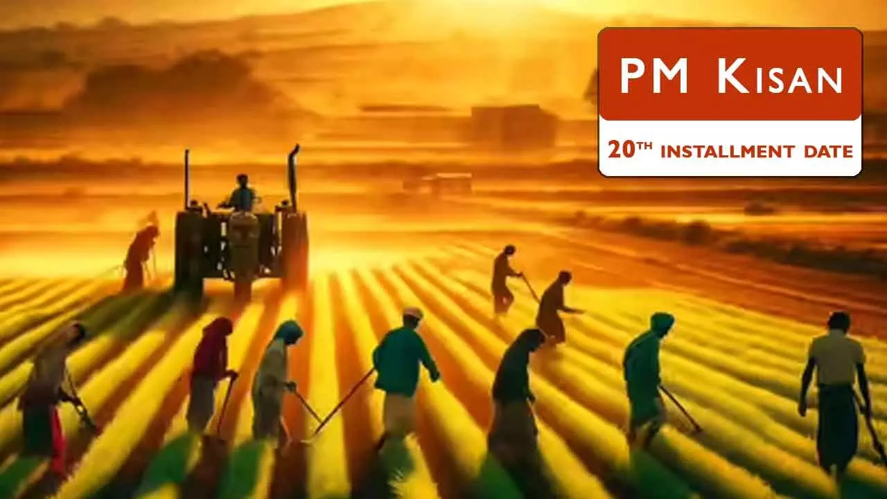 Decoding the PM Kisan 20th Installment: Your Essential Guide to Payments and Problem-Solving Decoding the PM Kisan 20th Installment: Your Essential Guide to Payments and Problem-Solving