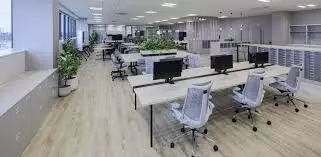 Work Culture Controversy: Bengaluru Startup Founder Sparks Debate Over 12-Hour Shifts Work Culture Controversy: Bengaluru Startup Founder Sparks Debate Over 12-Hour Shifts
