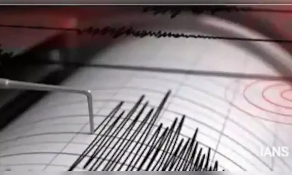 Delhi Rocked: Residents Describe Longest Quake Ever as 4.4 Magnitude Tremor Strikes Haryana