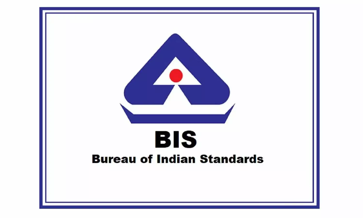 BIS conducts raids on e-commerce firms for violations in Krishna district