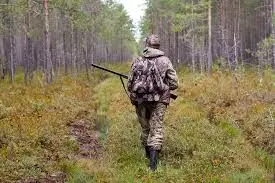 Unlocking the Wild: How Top-Rated Hunting Guides Elevate the Outdoor Experience