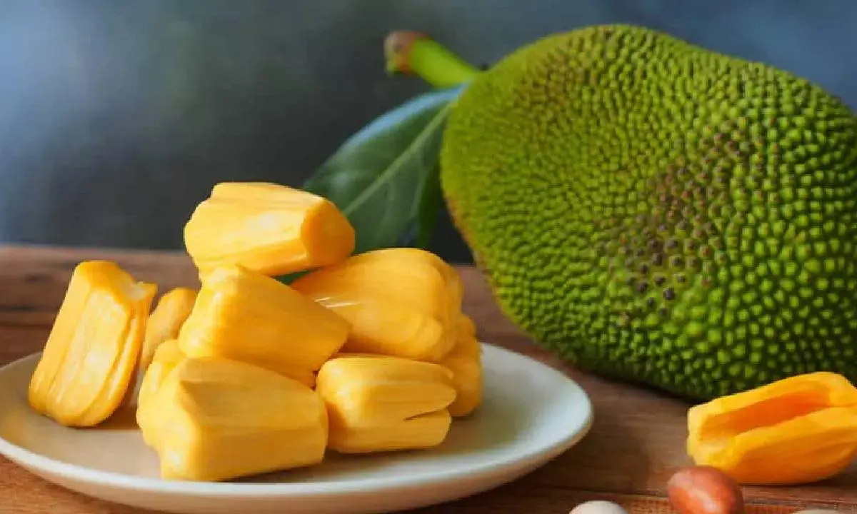 Kerala KSRTC Driver Fails Breathalyzer at 0.0 After Eating Jackfruit, Prompting Equipment Check