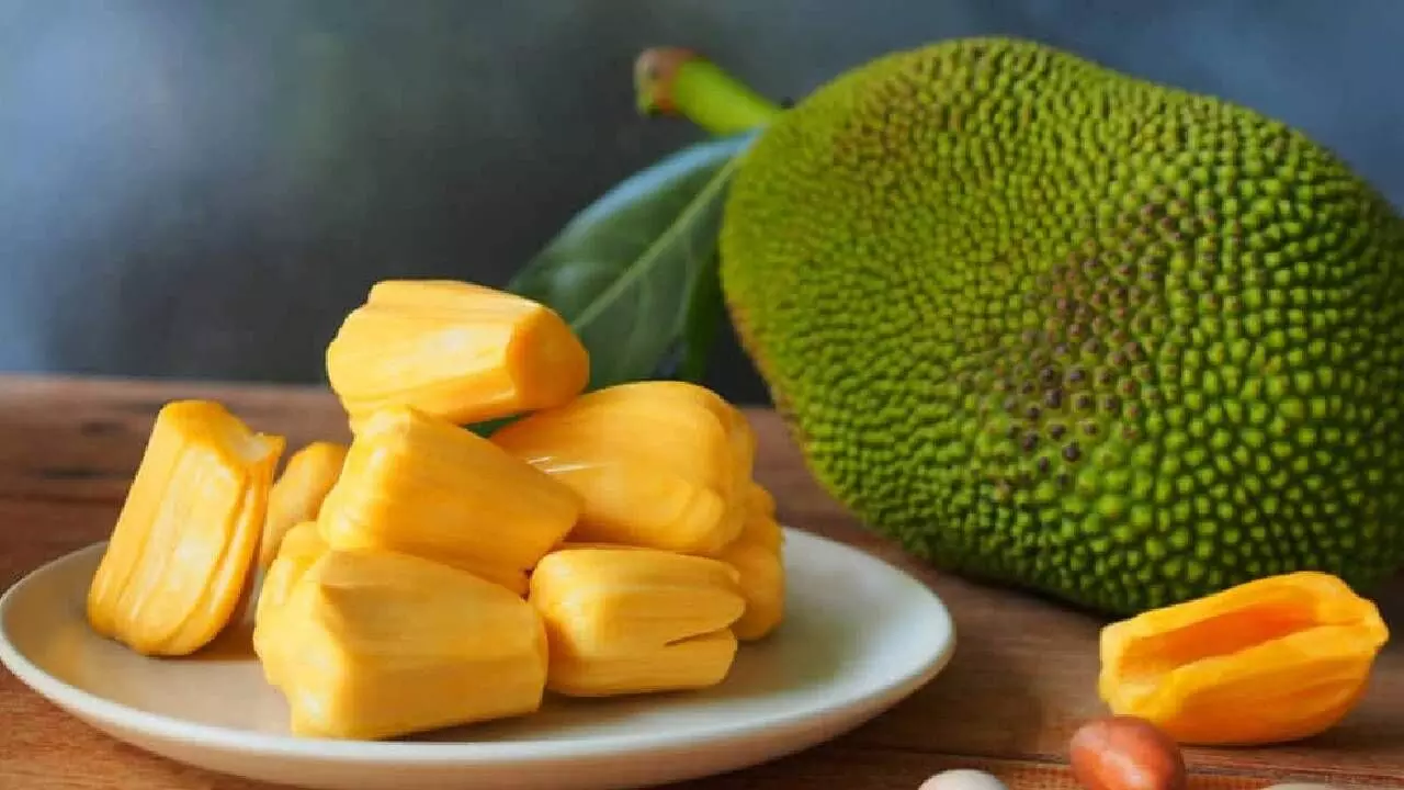 Kerala KSRTC Driver Fails Breathalyzer at 0.0 After Eating Jackfruit,  Prompting Equipment Check