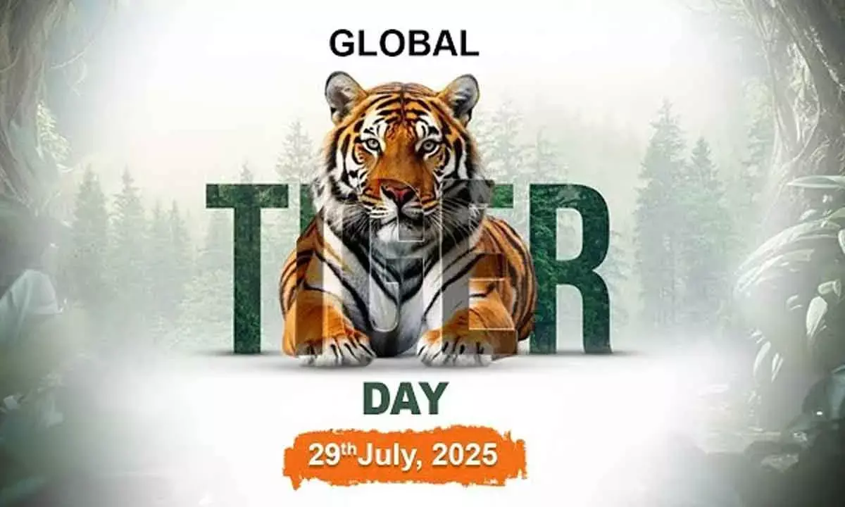 Global Tiger Day 2025 on July 29: Awareness, Conservation, and Key Highlights