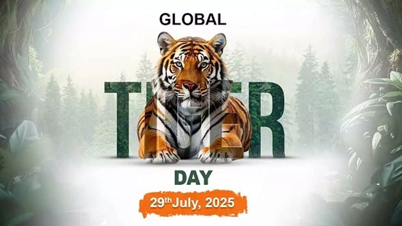 Global Tiger Day 2025 on July 29: Awareness, Conservation, and Key Highlights