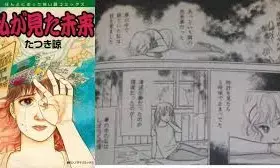 Japanese ‘New Baba Vanga’ Ryo Tatsuki’s Predictions Resurface After Kamchatka Earthquake, Tsunami Fears