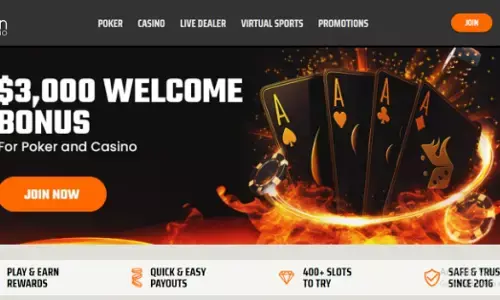 Top Crypto Casinos Reviewed in June 2025: Best Bonuses & RTP