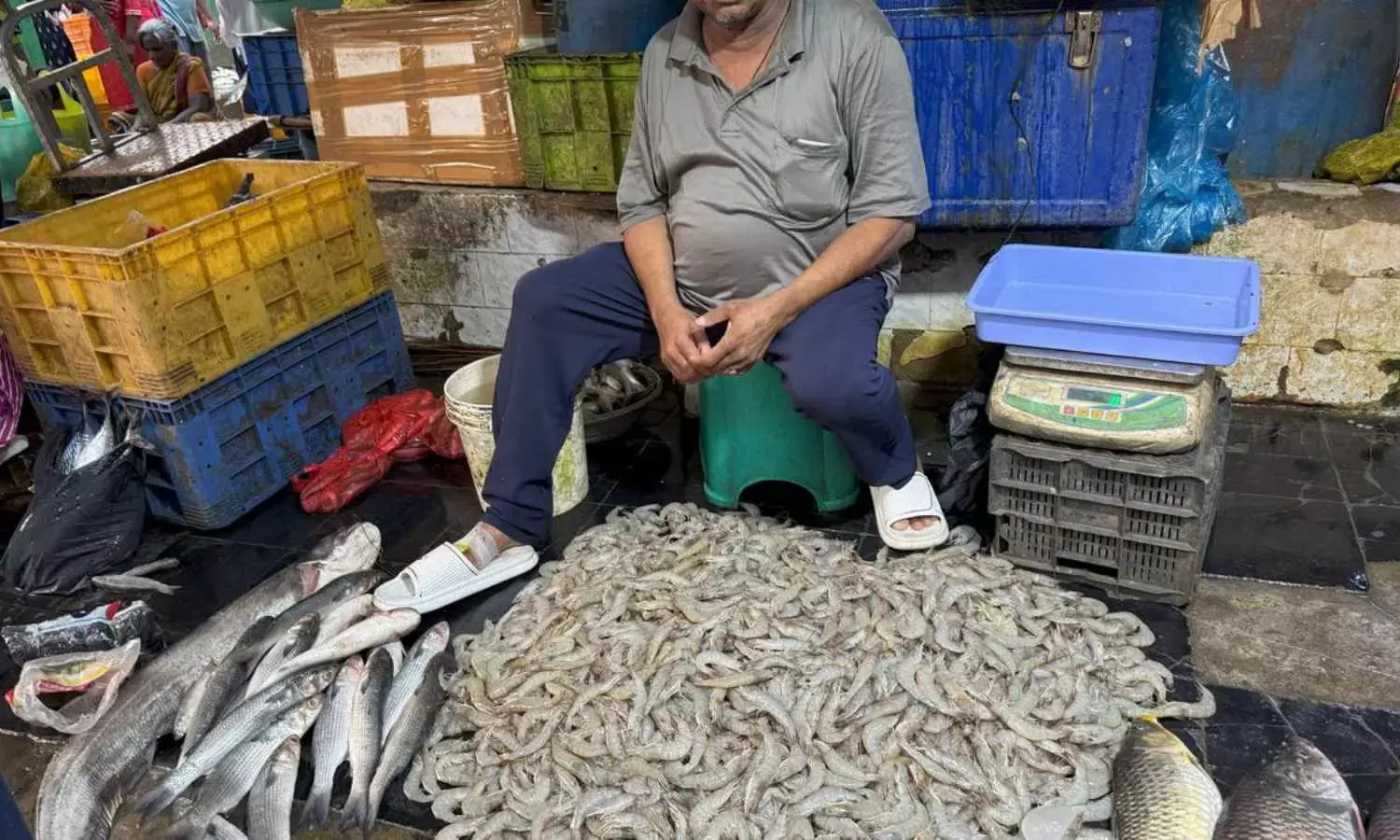 Aqua farmers , exporters in quandary over levying of 25% tariffy by US