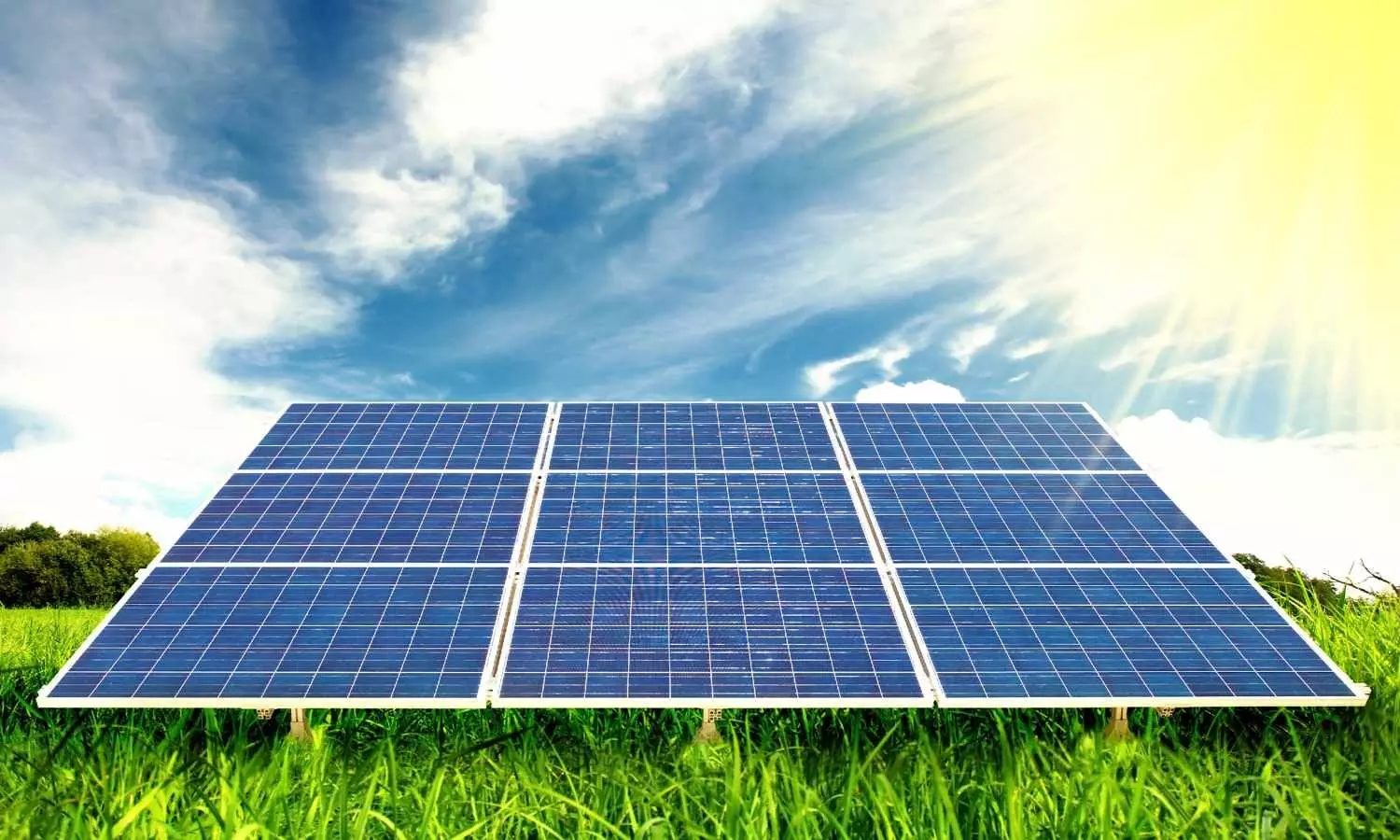 AP eyes global green talent leadership with India’s largest RE skilling drive