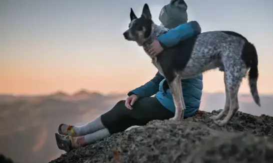 The Hidden Cost of Care: How Expensive Pet Medications Are Affecting Responsible Ownership in 2025Op-Ed by Pet Med Online