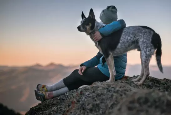 The Hidden Cost of Care: How Expensive Pet Medications Are Affecting Responsible Ownership in 2025Op-Ed by Pet Med Online