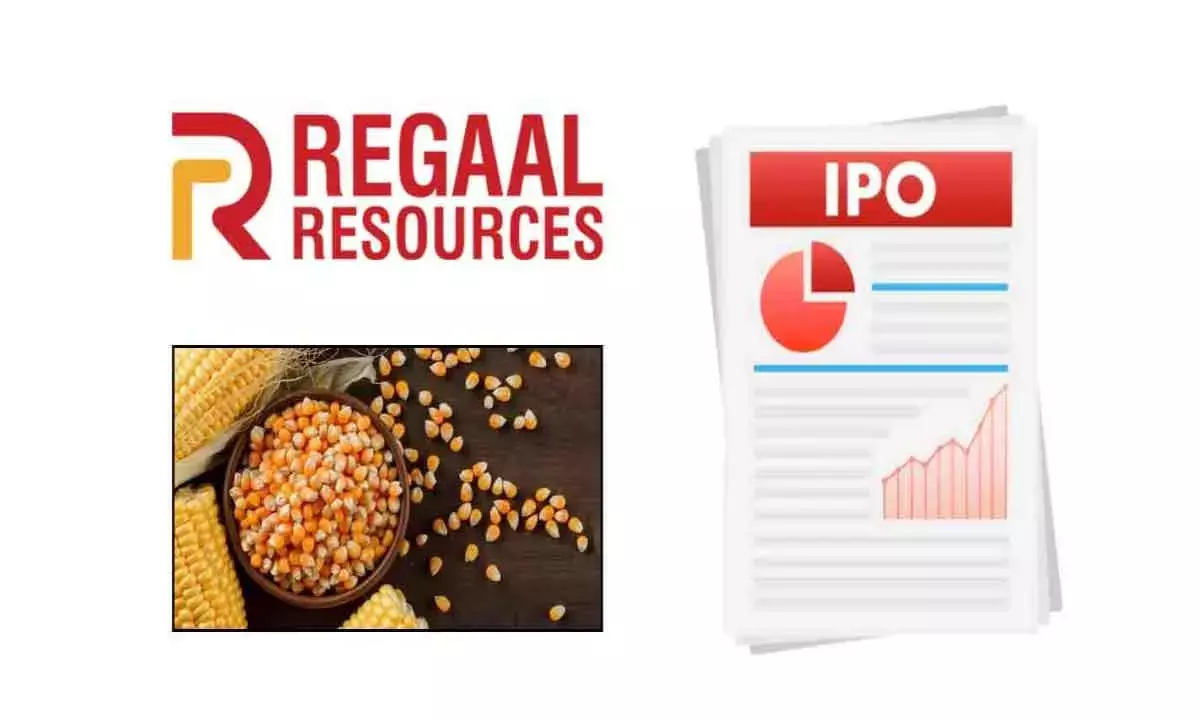 Regaal Resources IPO Sees Strong Demand — Should You Subscribe at ₹96–102 Price Band?