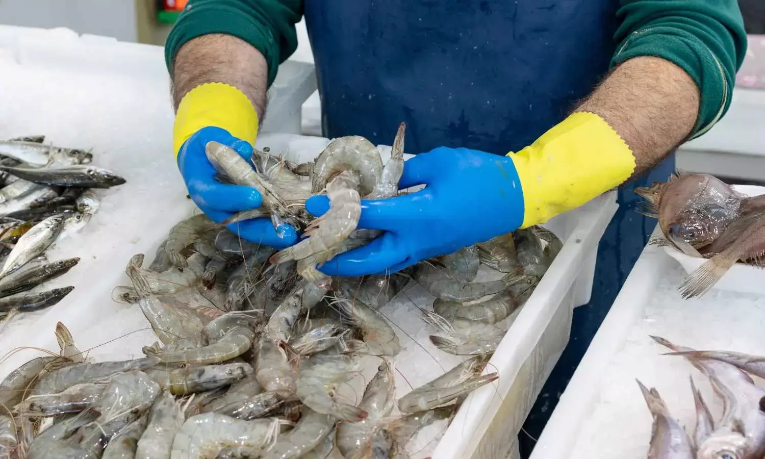 APSADA announces simplified licence procedure for aqua operations