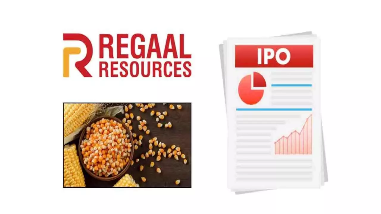 Regaal Resources IPO Sees Strong Demand — Should You Subscribe at ₹96–102 Price Band? Regaal Resources IPO Sees Strong Demand — Should You Subscribe at ₹96–102 Price Band?