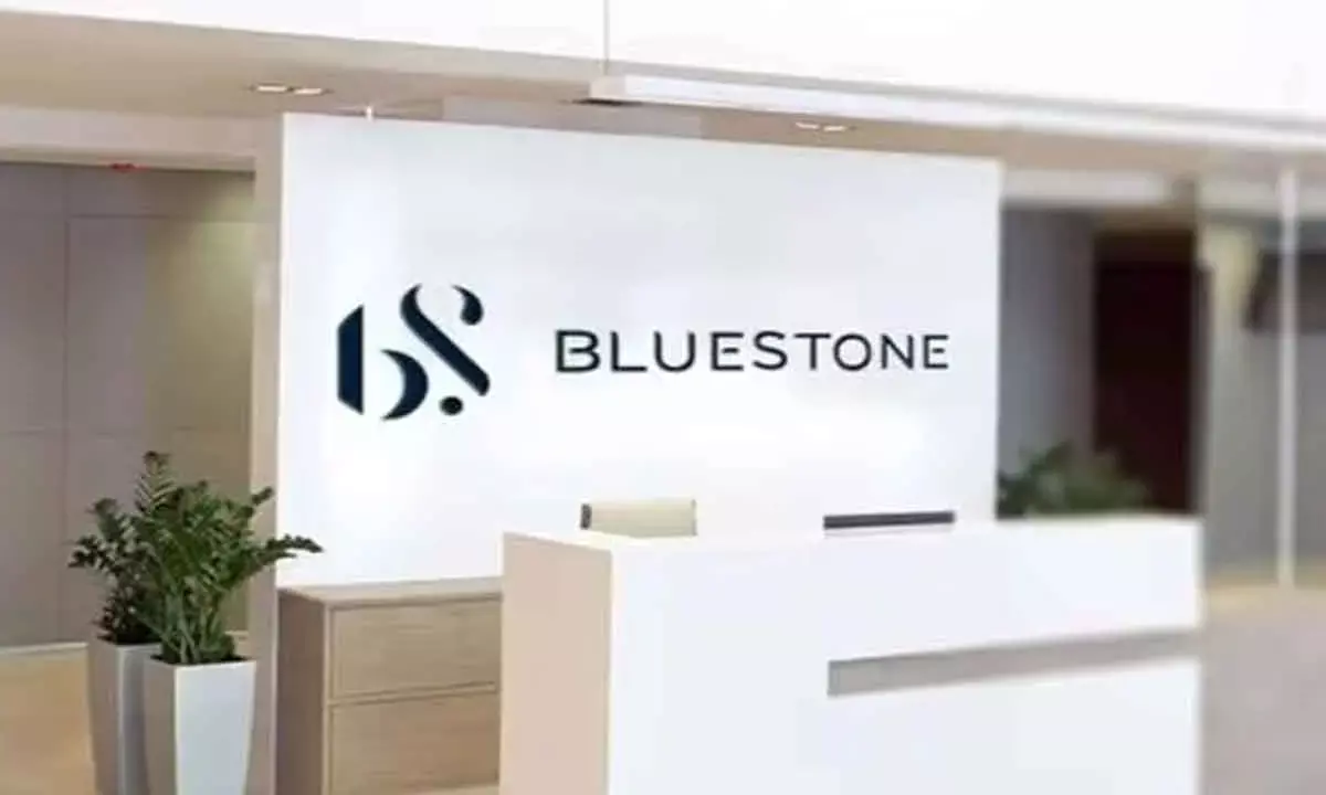 BlueStone Jewellery IPO Allotment Status: BSE, NSE, KFinTech Links, Latest GMP