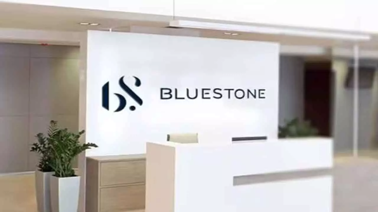 BlueStone Jewellery IPO Allotment Status: BSE, NSE, KFinTech Links, Latest GMP BlueStone Jewellery IPO Allotment Status: BSE, NSE, KFinTech Links, Latest GMP