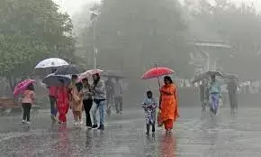 Telangana Weather Update: IMD Issues Red Alert for 3 Districts, Orange Alert for One
