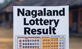 Nagaland Lottery Sambad Result Today 6 PM (19-08-2025) LIVE: Dear Godavari Tuesday, ₹1 Crore First Prize Announced