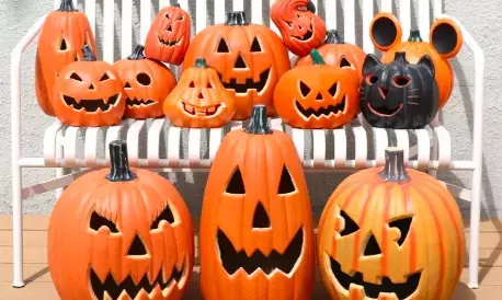 Link Remove Due to Scam