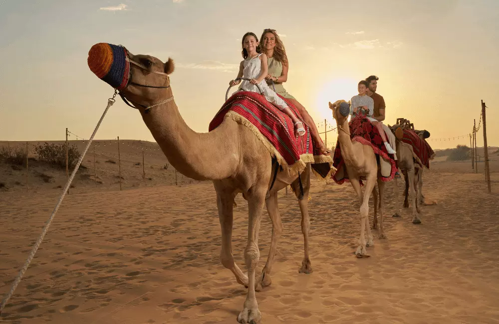 Beyond the Dunes: Top 10 Desert Activities on Your Abu Dhabi Safari Beyond the Dunes: Top 10 Desert Activities on Your Abu Dhabi Safari
